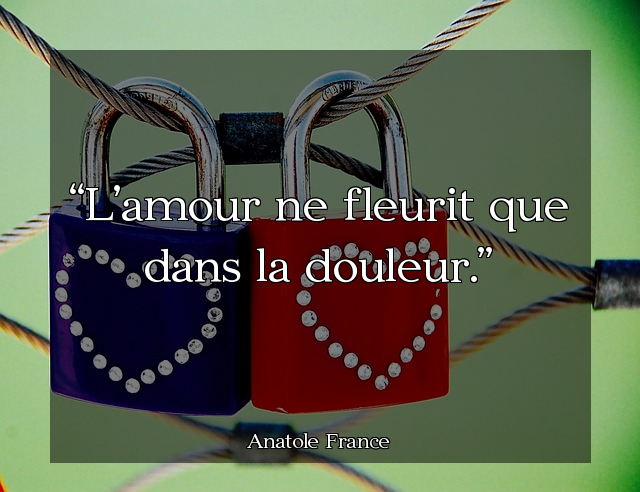 L'amour ne fleurit que dans la douleur.