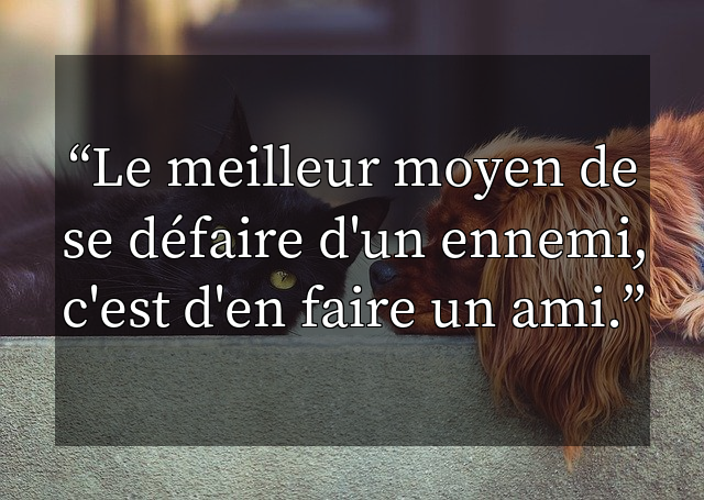 Le meilleur moyen de se défaire d'un ennemi, c'est d'en faire un ami.
