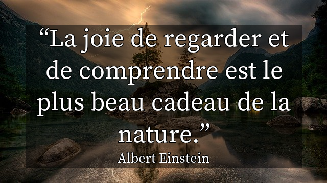 La joie de regarder et de comprendre est le plus beau cadeau de la nature.