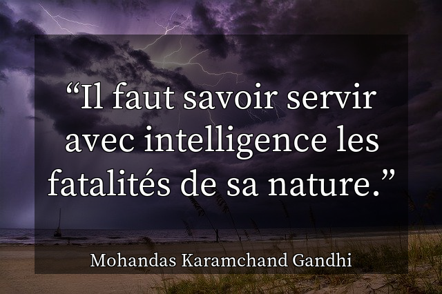 Il faut savoir servir avec intelligence les fatalités de sa nature.