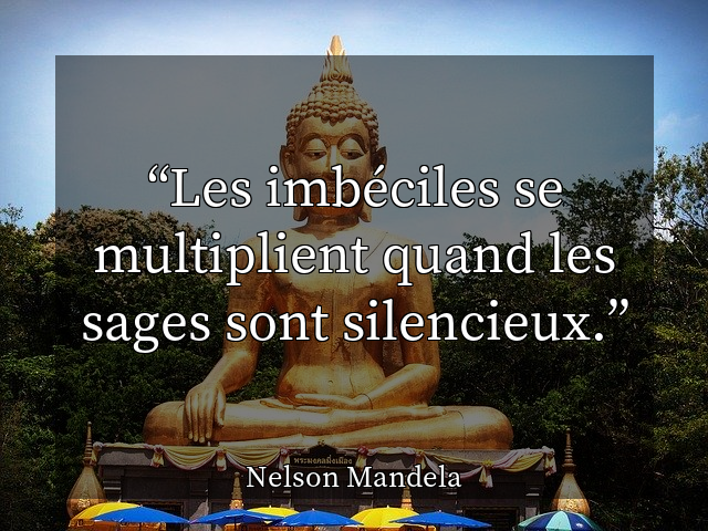 Les imbéciles se multiplient quand les sages sont silencieux.