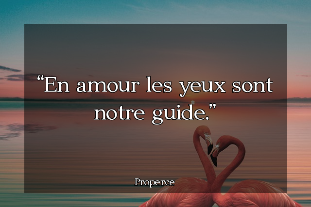 En amour les yeux sont notre guide.